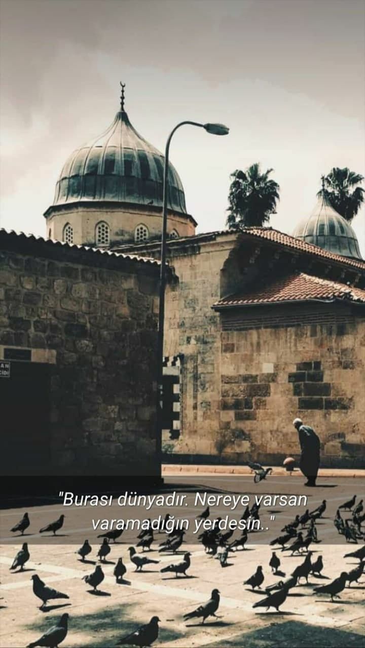 Necatımıza Çare Aramalı 